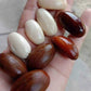 Pra Nut Live Plant (Pra-krua Nut)