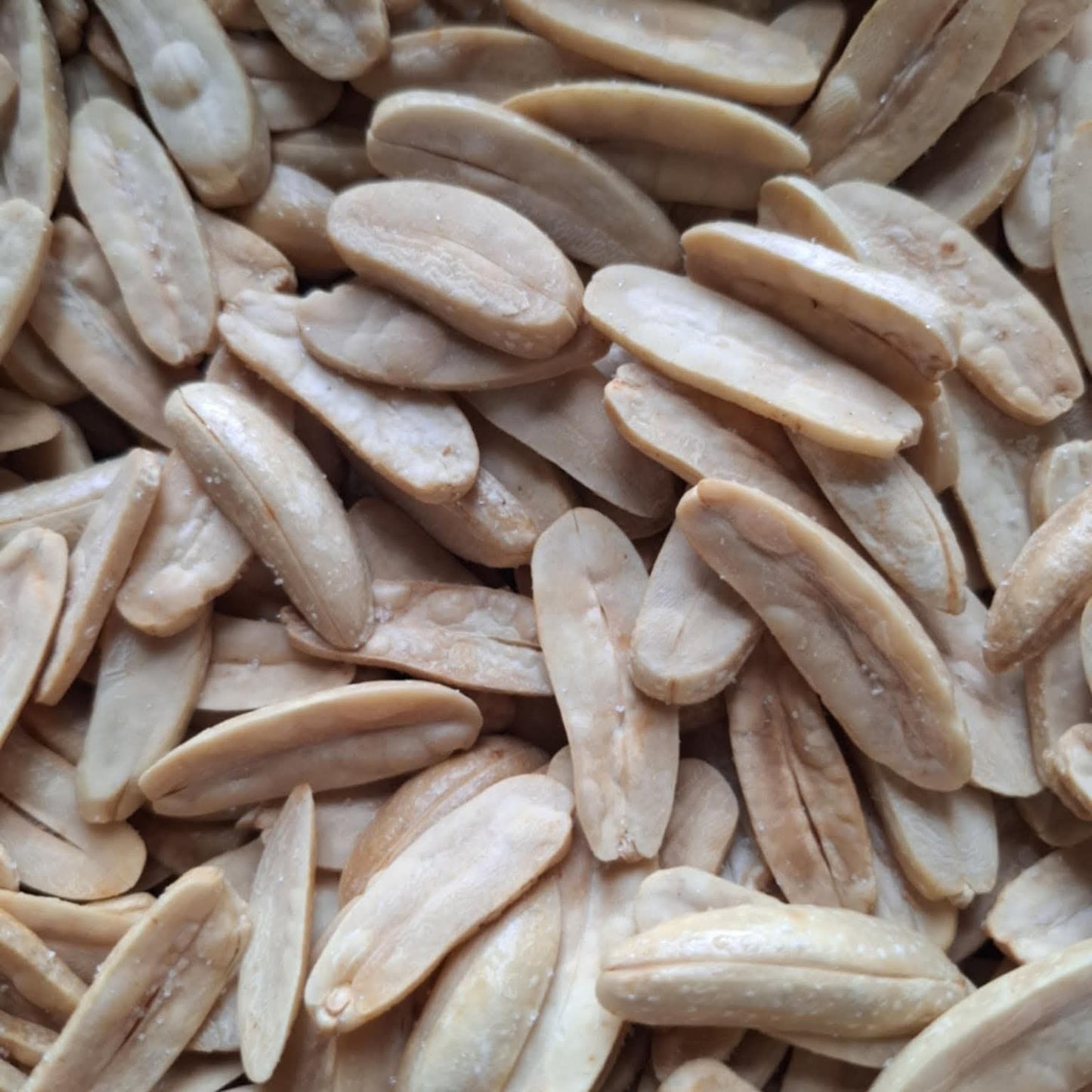 Pra Nut Live Plant (Pra-krua Nut)