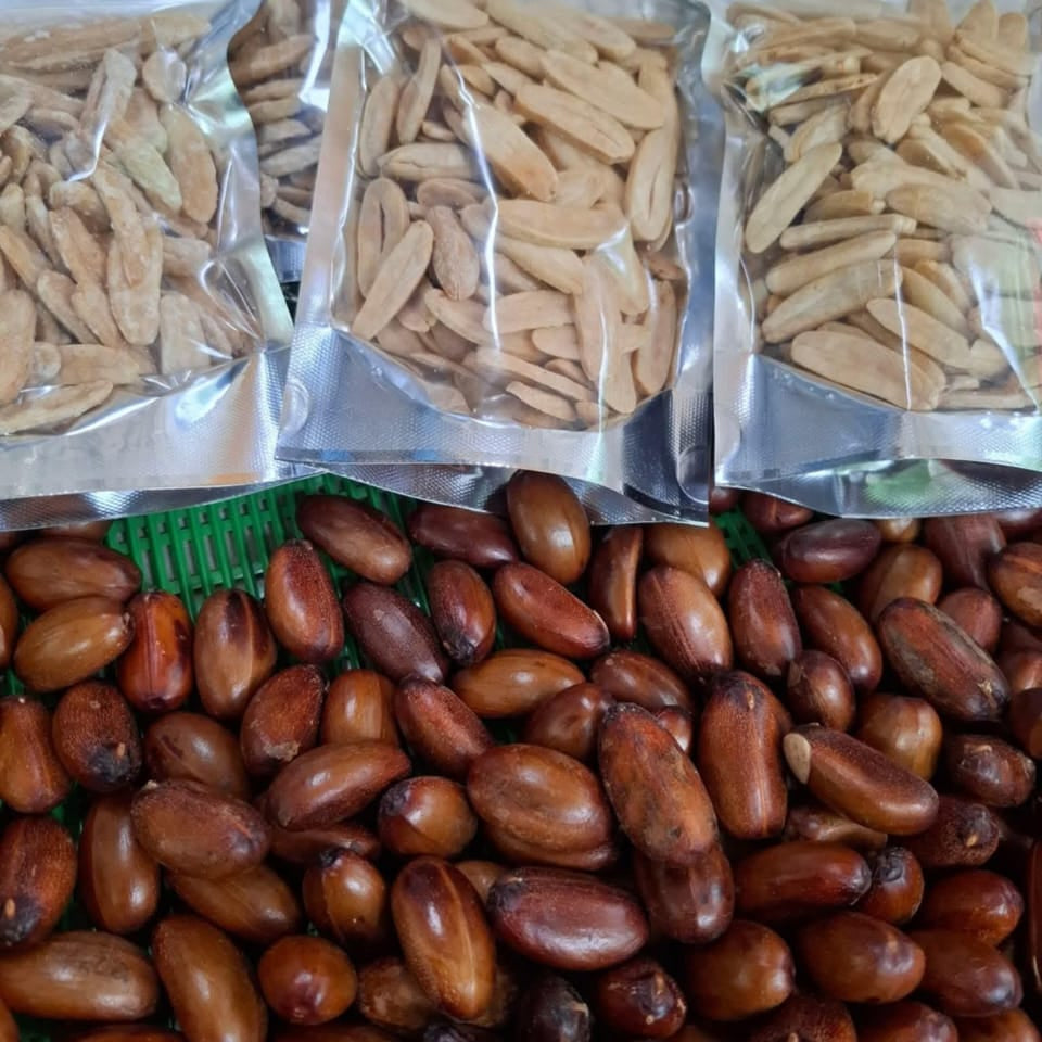 Pra Nut Live Plant (Pra-krua Nut)