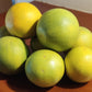 Punjab Malta Orange Fruit Plant  (Citrus sinensis)