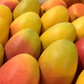 Pusa Shrestha Mango Fruit Plant (Mangifera indica)