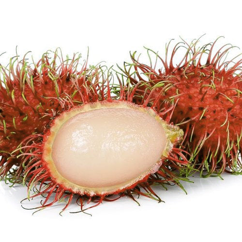 Rambutan Caesar Live Plants (Red)