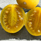 Solanum pelagicum Live Plant (Solanum pelagicum)