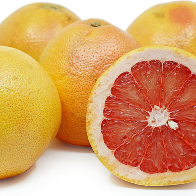Star Ruby Grape Fruit Plant (Citrus × paradisi)