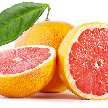 Star Ruby Grape Fruit Plant (Citrus × paradisi)