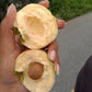 Thai Sweet Rose Apple Fruit Plant (Syzygium jambos)