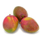 Tommy Atkins Mango Fruit Plant (Mangifera indica 'Tommy Atkins)