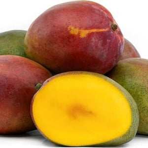 Tommy Atkins Mango Fruit Plant (Mangifera indica 'Tommy Atkins)
