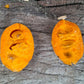 Tropical Paw Paw Live Plant (Sapranthus campechianus)