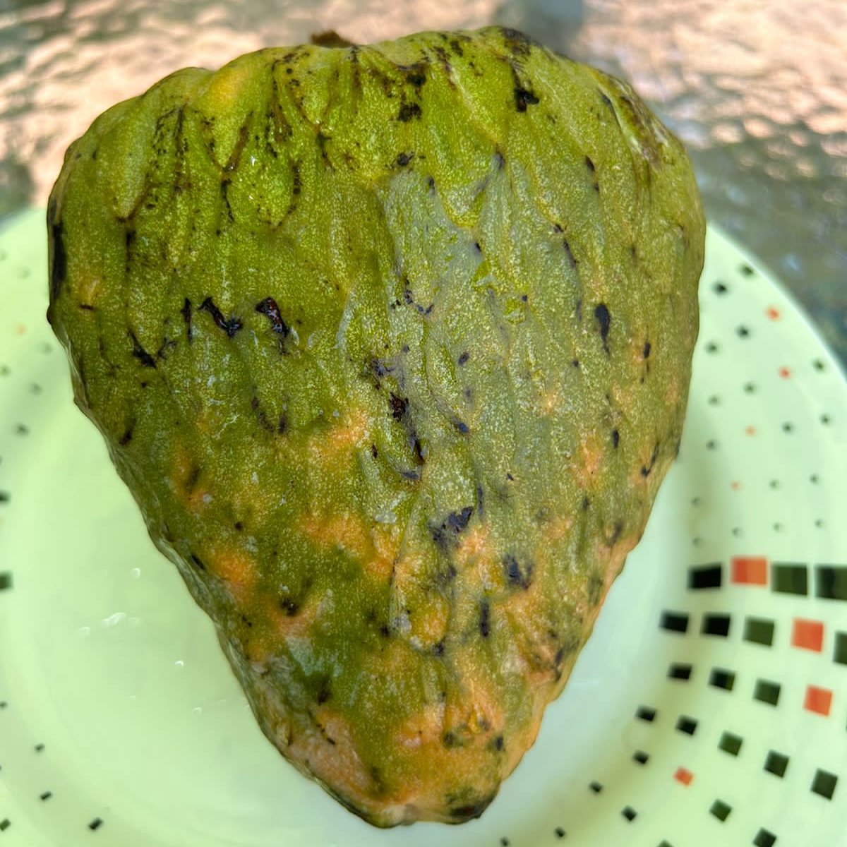 Annona reticulata "Great Emerald (Annona Reticulata )