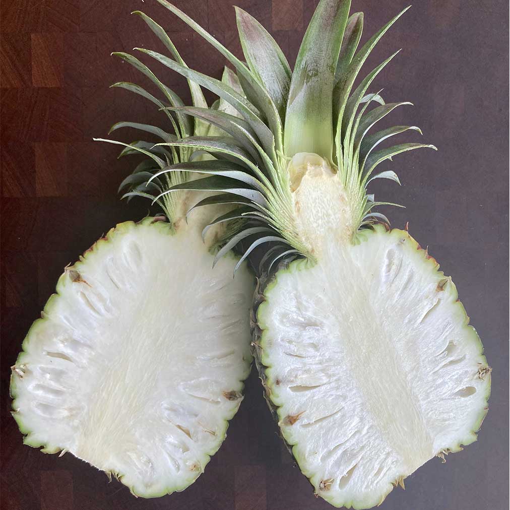 White Jade Pineapple Live Plant (Ananas comosus 'White Jade')