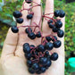 Gondo Fruit Plant (Ardisia compressa)