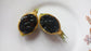 Black Berry Jam Fruit Plants (Randia Formosa)