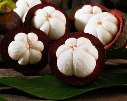 Mangosteen Fruit Plants (Garcinia Mangostana)