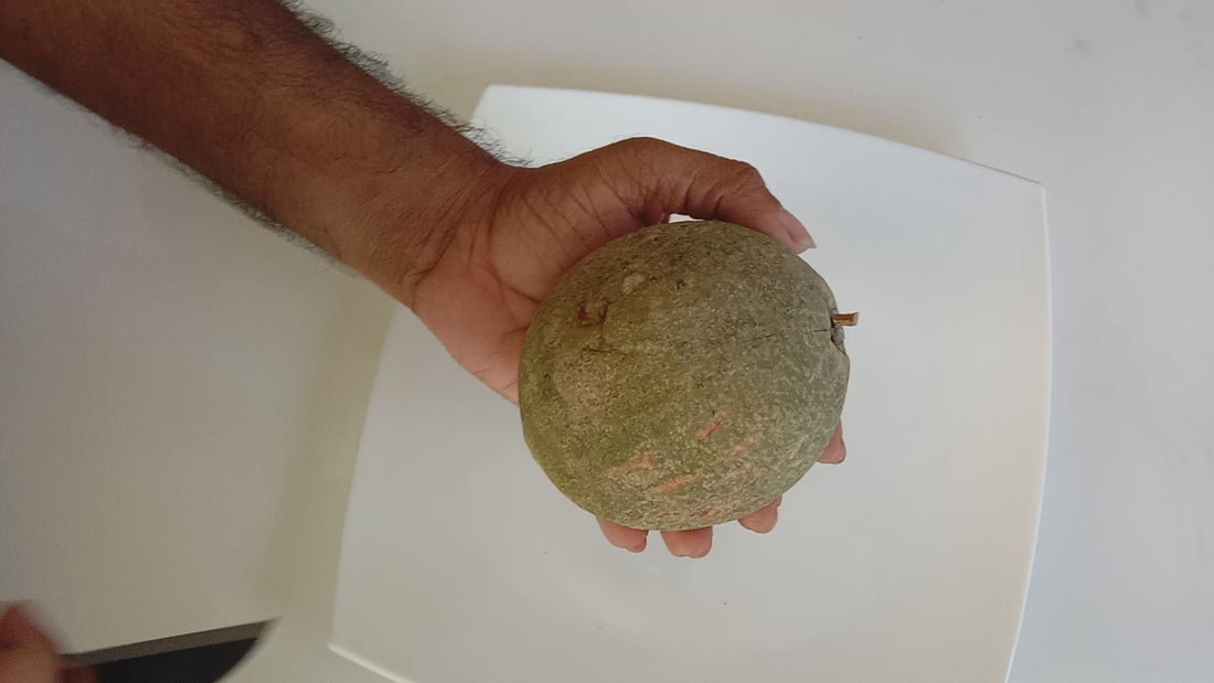 Red Faisan Live Plant (Pouteria Viridis) veliyathgardens