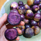 Purple Tomatillo Fruit Plant (Physalis ixocarpa)