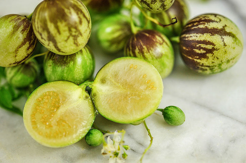 Melon Pear Fruit Plant (Solanum caripense) veliyathgardens