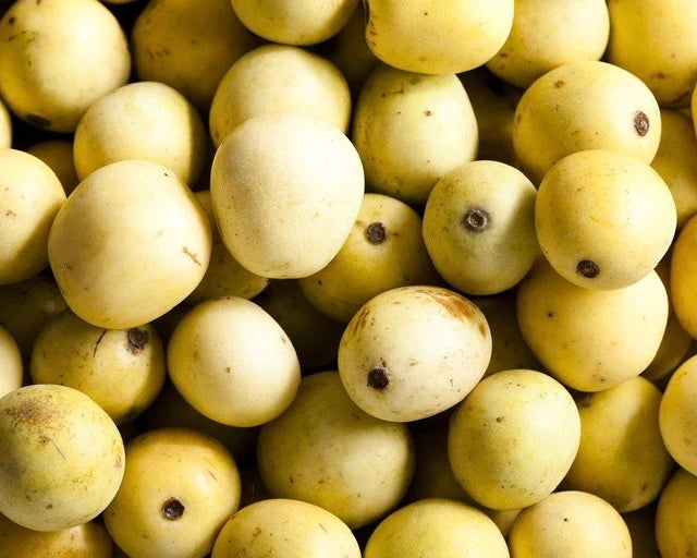 Marula Fruit Plant (Sclerocarya birrea) – veliyathgardens