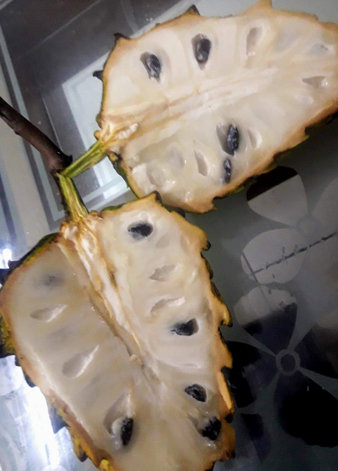 Rollinia Fruit Plants (Rollinia Deliciosa) – veliyathgardens