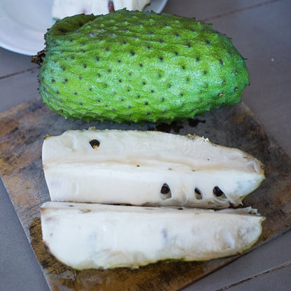 Sour Sop Fruit Plant  (Annona Muricata)