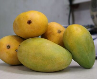 Cheruku Rasalu Mango Live Plant