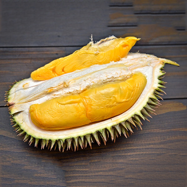 D101 durian Live Plants