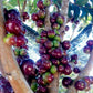 Jaboticaba Escarlate Fruit Plants