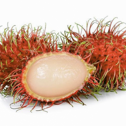Rambutan Fruit Live Plants (Nephelium Lappaceum)