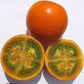 Naranjilla Fruit Plant (Solanum quitoense)