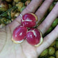 Red Rambai Fruit Plants (Baccaurea Motleyana)