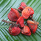 Sweet Prayer (Katemfe) Fruit Plant (Thaumatococcus Daniellii)
