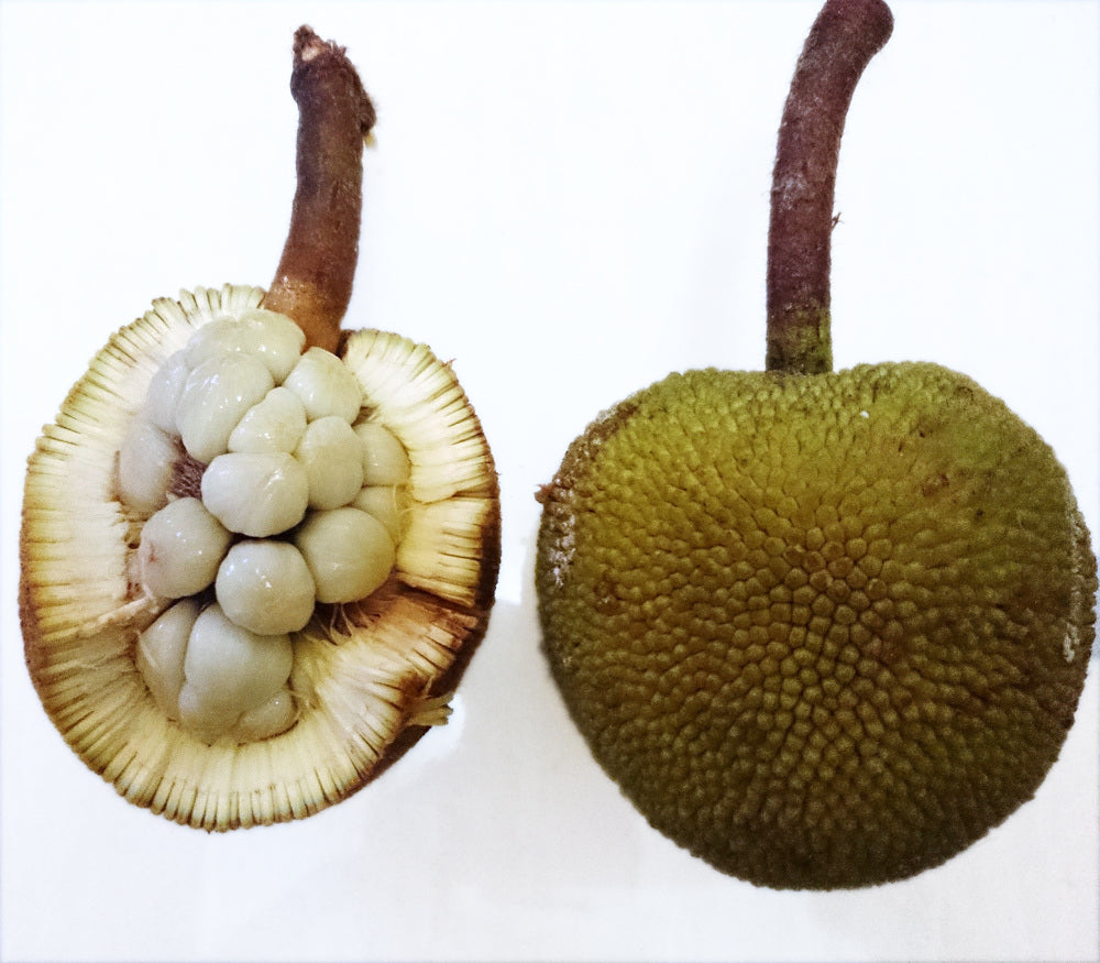 Pingan Fruit Live Plants