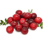 Cranberry Fruit Plant (Vaccinium subg. Oxycoccus)