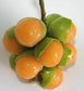 Spanish Lime Fruit Plant (Melicoccus bijugatus)