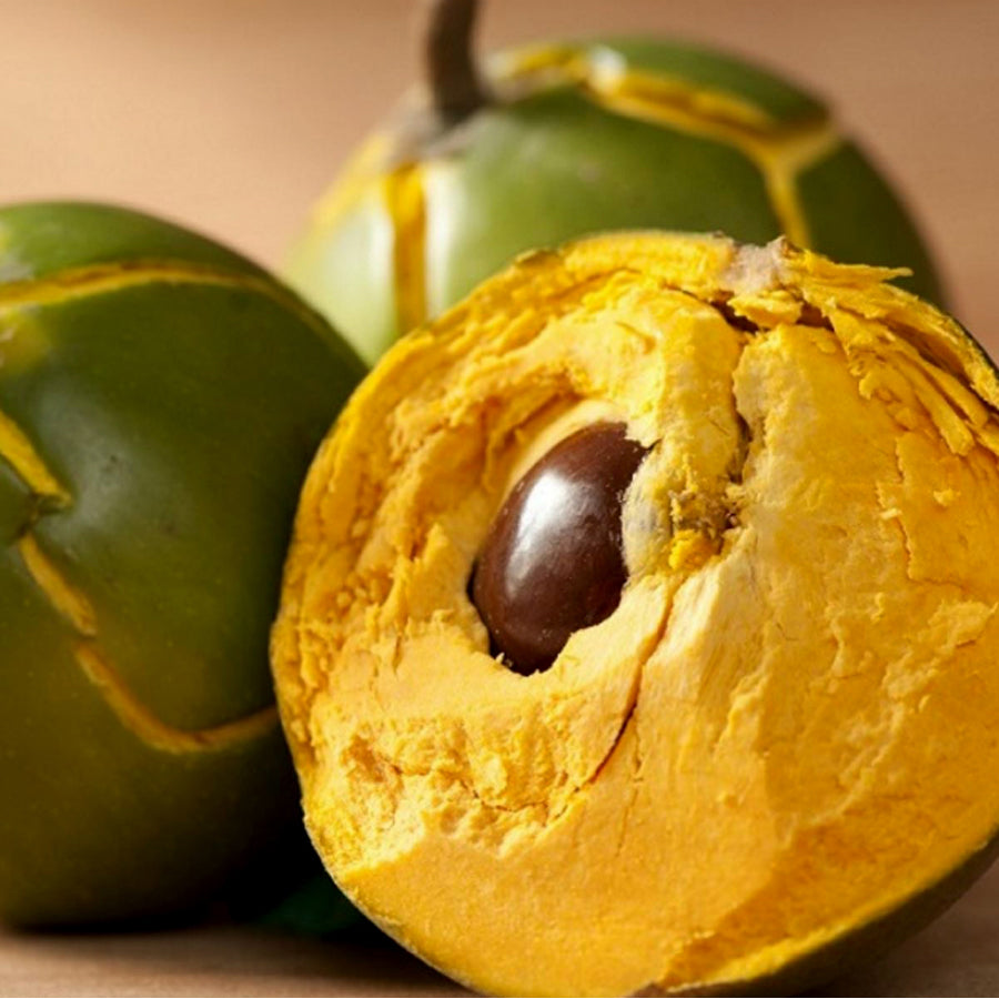 Lucuma Fruit Plant (Pouteria Lucuma): A Nutrient-Packed Ancient Treasu ...