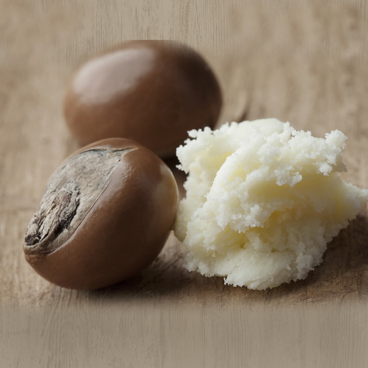 Shea Butter Fruit Live Plant (Vitellaria paradoxa) – veliyathgardens