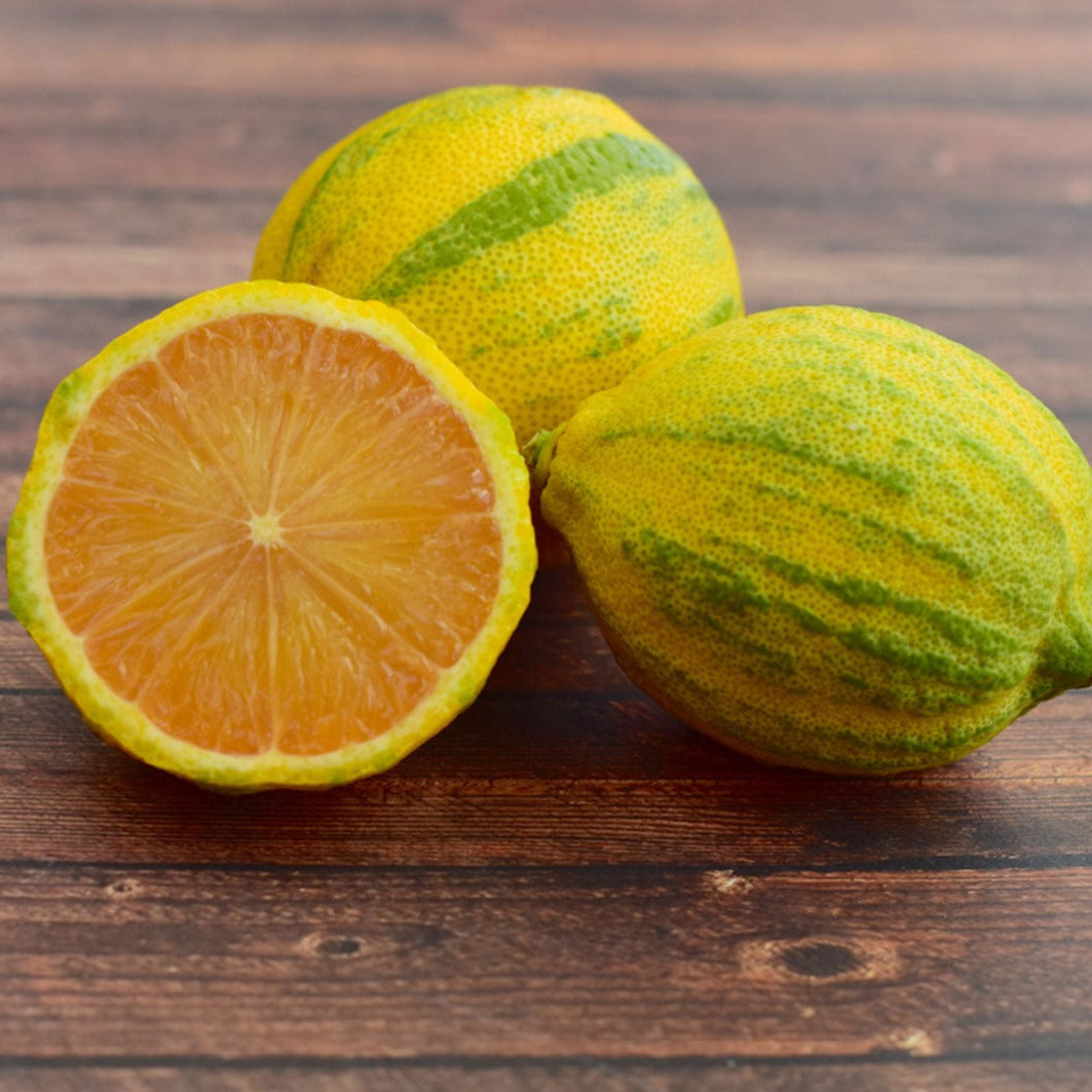Variegated Lemon Live Plant (Citrus Limon) – veliyathgardens
