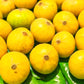Yellow Jaboticaba Fruit Plants (Myrciaria Glazioviana)